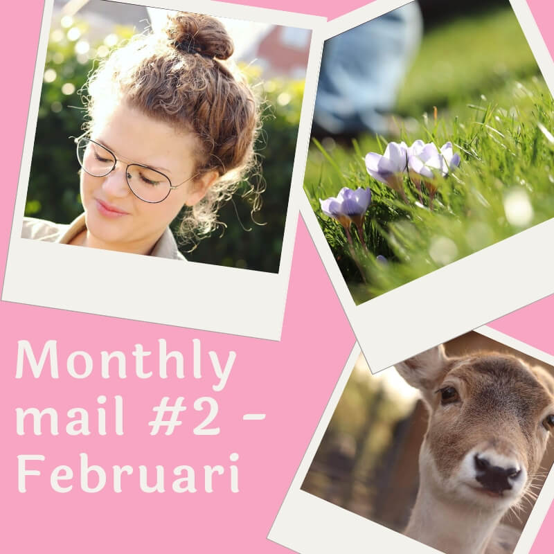 Monthly mail #2 Februari