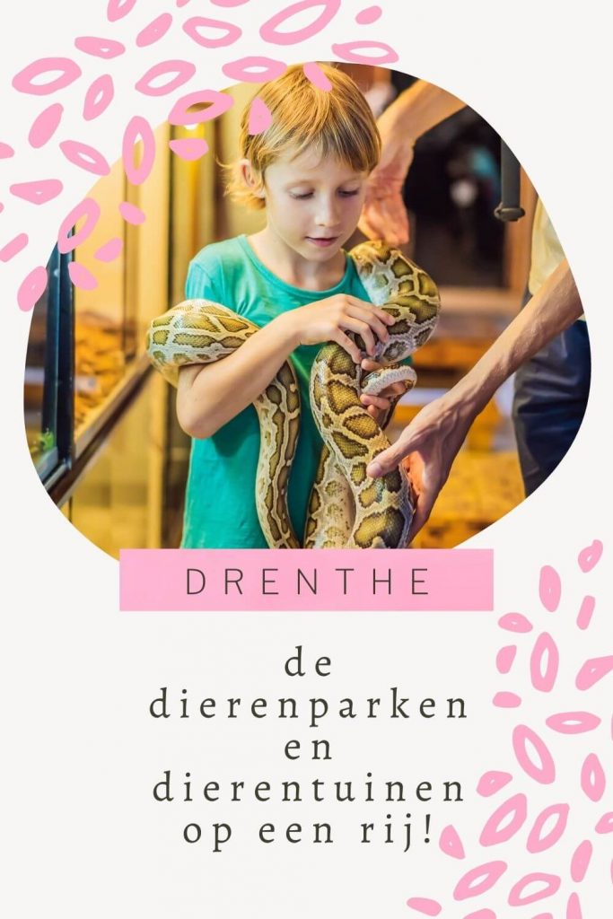 Dierenparken-en-dierentuinen-in-Drenthe