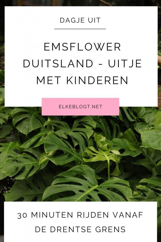 emsflower-duitsland-uitje-met-kinderen