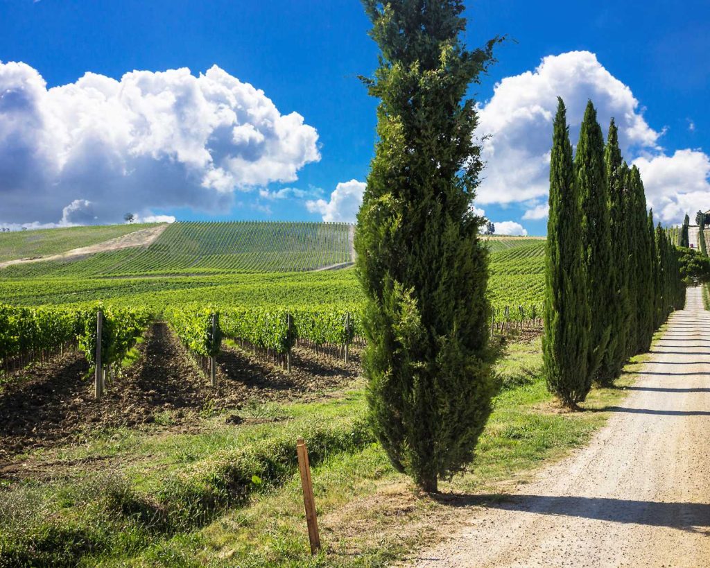 Ontdek de Charme van een Vakantiehuis in Toscane met Zwembad