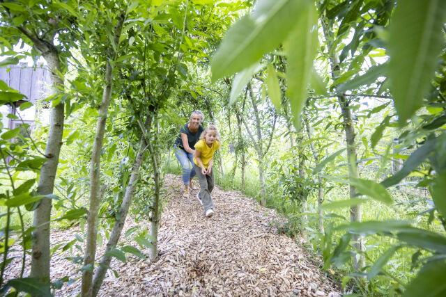 Assen met kinderen – tips voor binnen en buiten